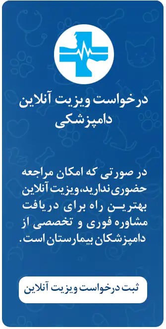 مشاوره آنلاین دامپزشکی