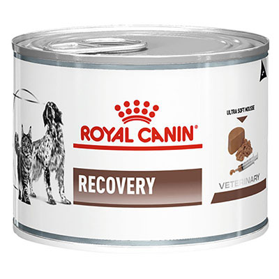 کنسرو ریکاوری رویال Royal Canin Recovery