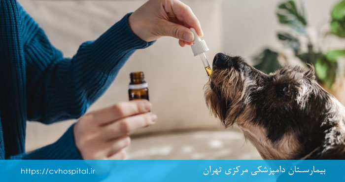 درمان بیماری های کلیوی در سگ و گربه
