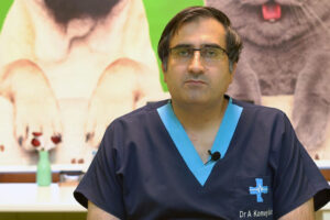 دکتر امیر کمیلیان دامپزشک-بیمارستان دامپزشکی مرکزی تهران