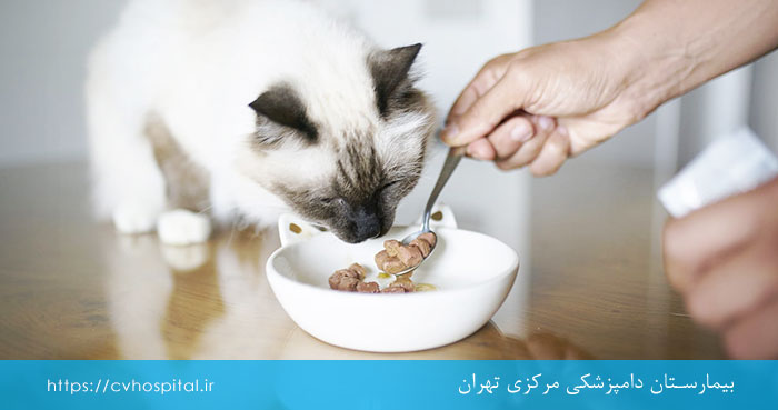 رژیم برای حیوانات خانگی ضعیف