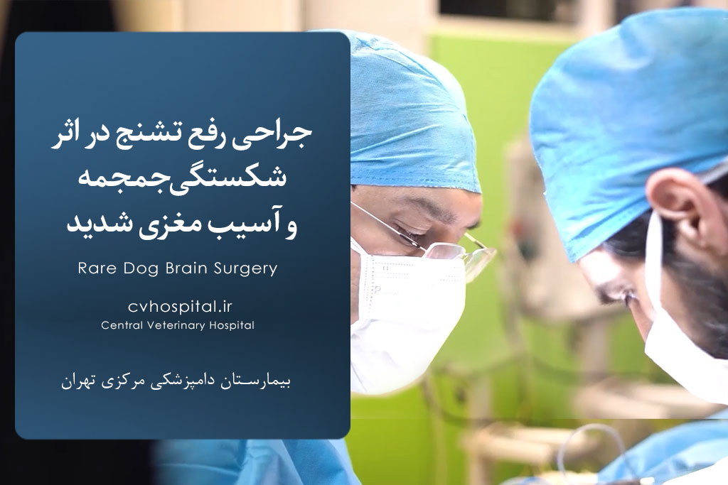 جراحی رفع تشنج در اثر شکستگی جمجمه و آسیب مغزی شدید