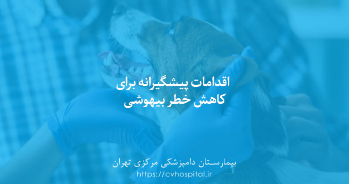پیشگیری از عوارض و خطرات بیهوشی حیوان خانگی
