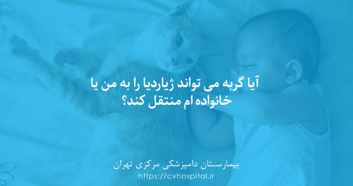 انتقال ژیاردیا از گربه به انسان