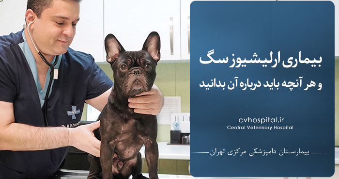 بیماری ارلیشیوز سگ