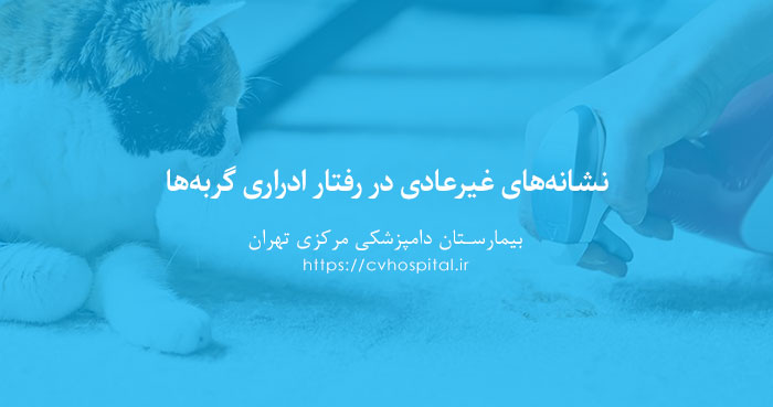 علائم بیماری های ادراری در گربه ها