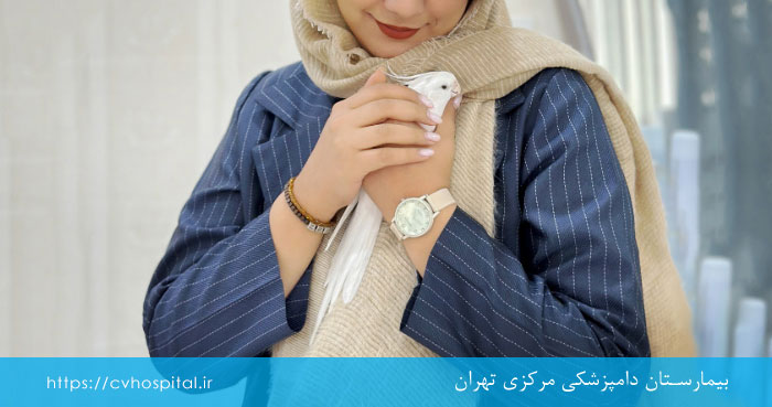 تشویقی عروس هلندی