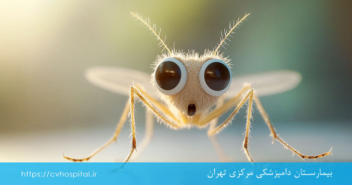 رد شایعه انتقال ایدز توسط پشه