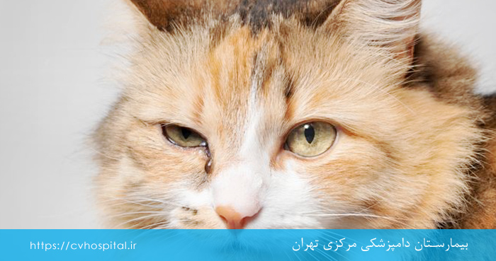 تشخیص هرپس از روی علائم