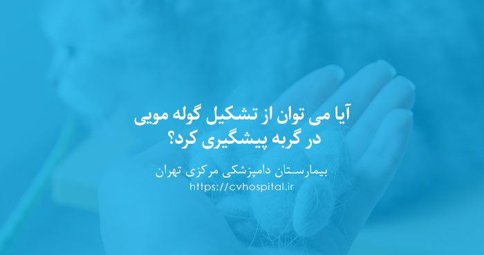 پیشگیری از هیربال در گربه