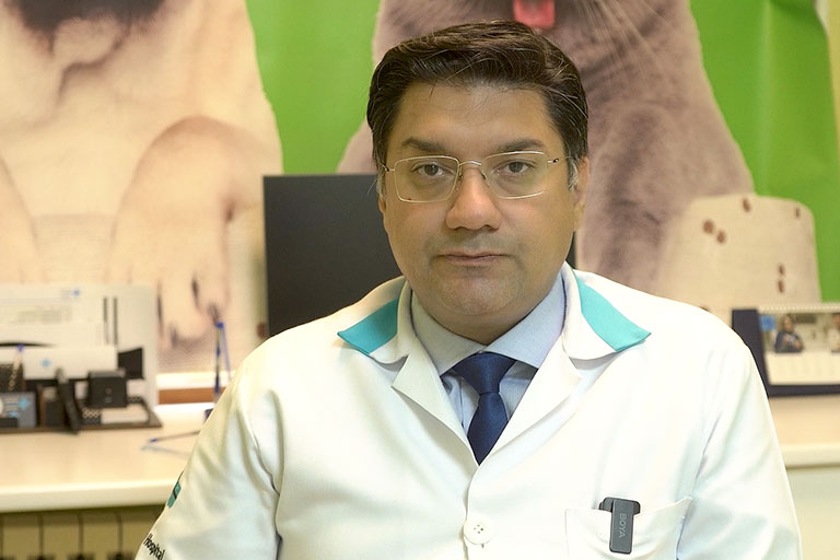 dog hernia surgery