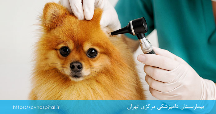 تشخیص بیماری لایم