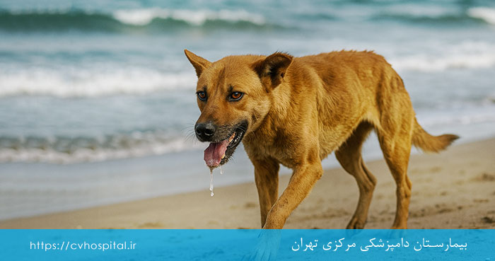 علايم هاری