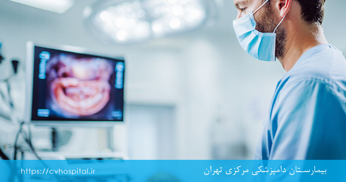 نمونه برداری اندوسکوپی سگ