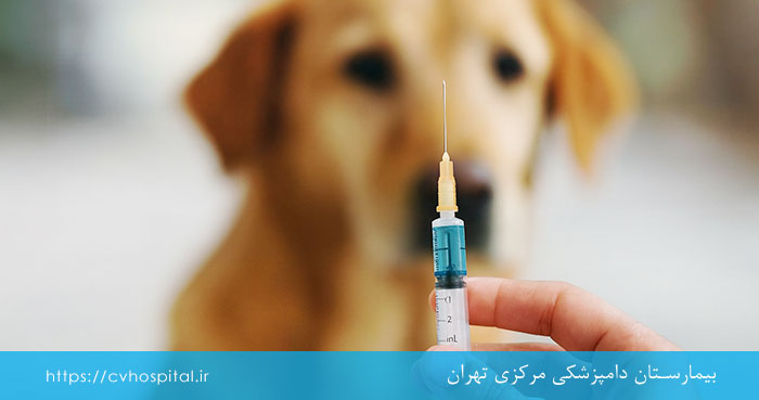 مقابله با هاری