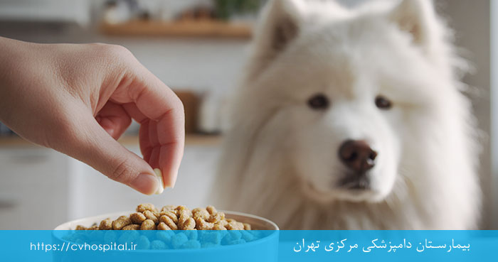 بی اشتهایی