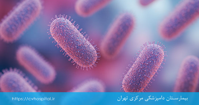 ویروس هاری