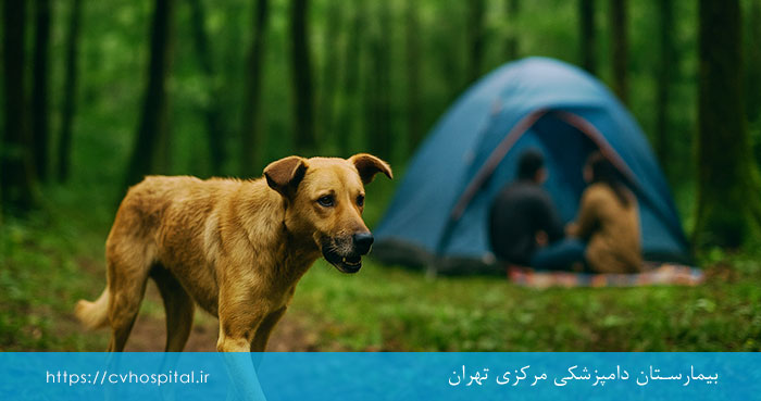 اهمیت جوامع علیه هاری