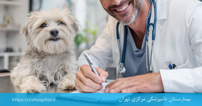 تشخیص آناپلاسموز سگ