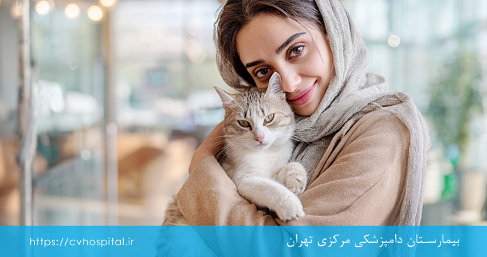 گربه بهبود یافته 