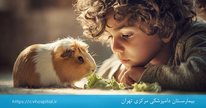 رژیم غذایی خوکچه