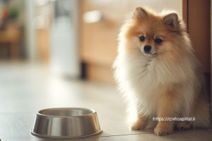 آب نخوردن سگ