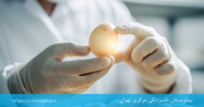 علائم کم شدن کیفیت تخم گذاری در مرغ ها