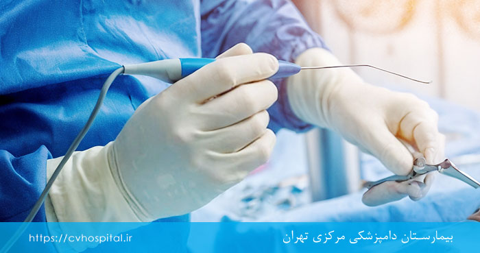 اندوسکوپی کردن بینی سگ و گربه
