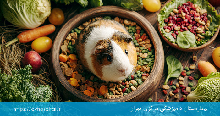 خوراکی های مناسب و نامناسب برای خوکچه