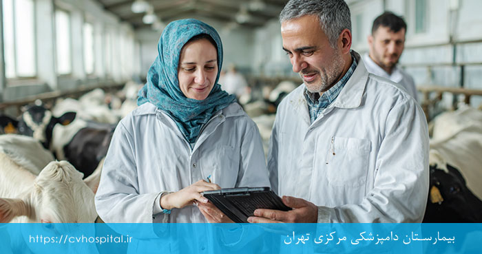 تشخیص تب مالت