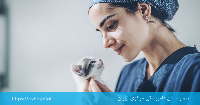 درمان بوی بد دهان بچه گربه
