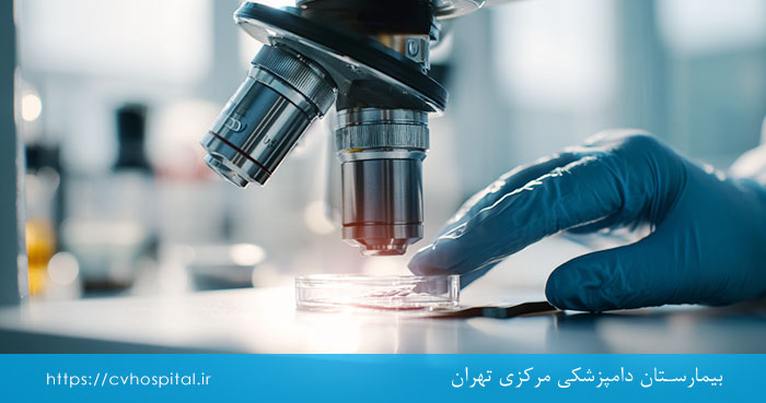 نمونه برداری با رینوسکوپی