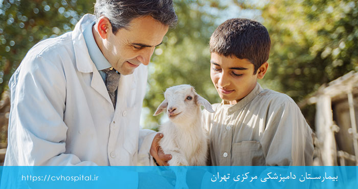 انگل مشترک انسان و حیوان